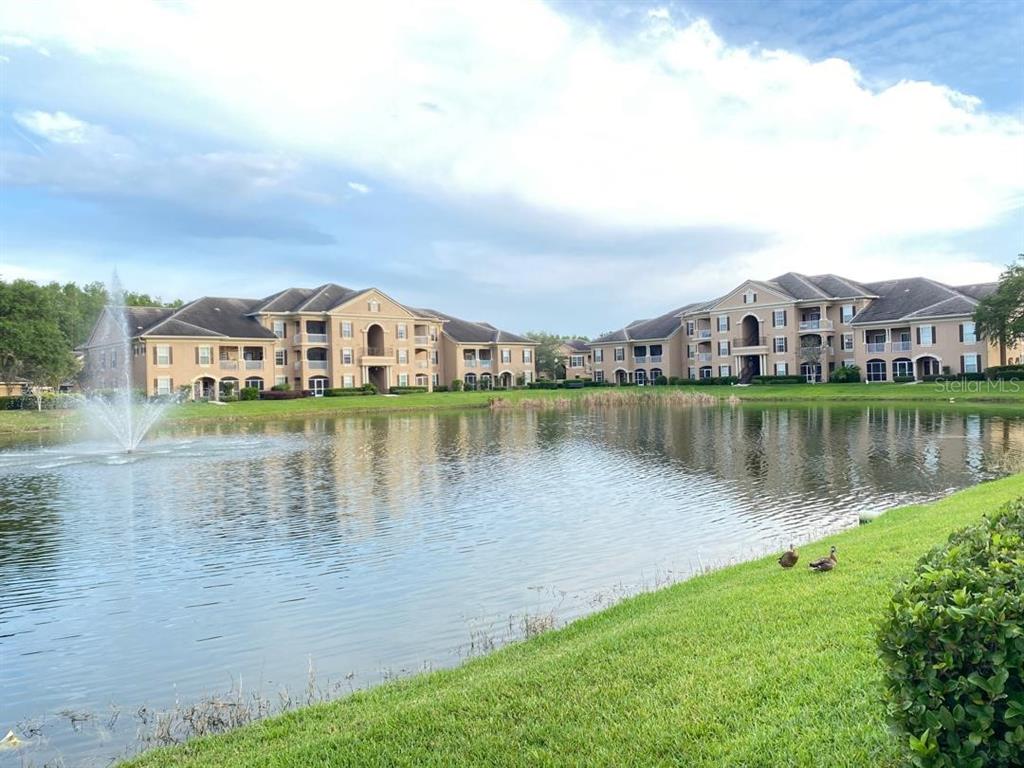 14341 FREDRICKSBURG DR DRIVE UNIT 1007