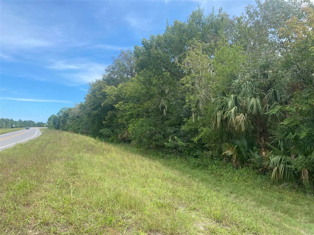 GRISSOM PKWY, COCOA, FL — photo 3 of 5