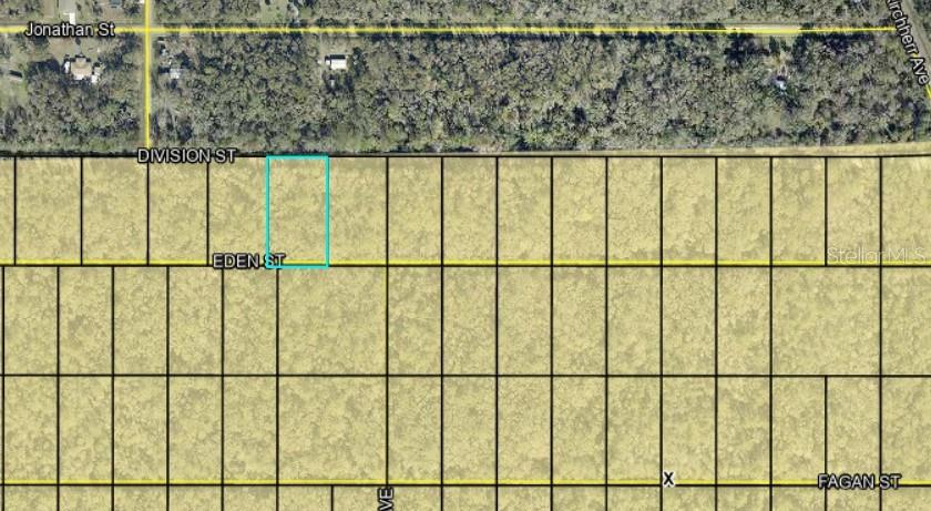 This is a satellite map view showing a highlighted rectangular land parcel in a grid — DIVISION STREET, HASTINGS, FL