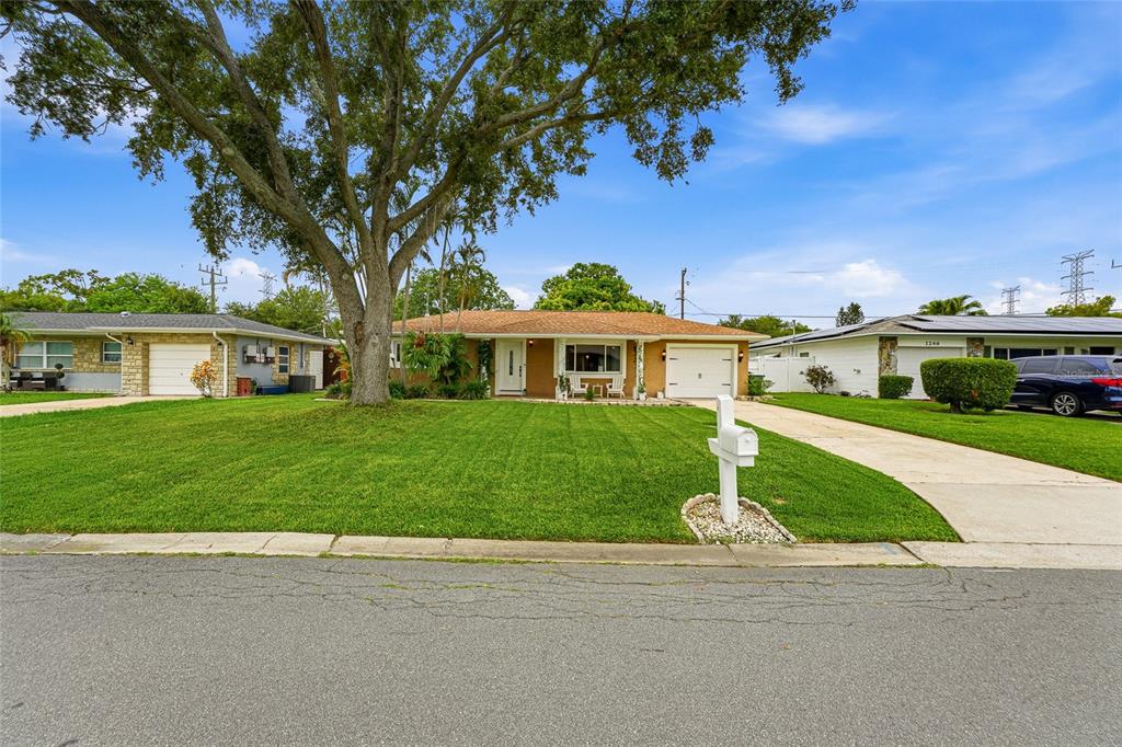 A single-story brick house with a large front lawn, a driveway, and a mature tree — 1252 BURMA AVENUE, CLEARWATER, FL