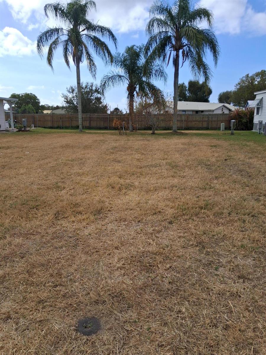 A dry, grassy yard features three palm trees and a wooden fence in the background — 1691 SW 35th Circle, Okeechobee FL 34974, OKEECHOBEE, FL