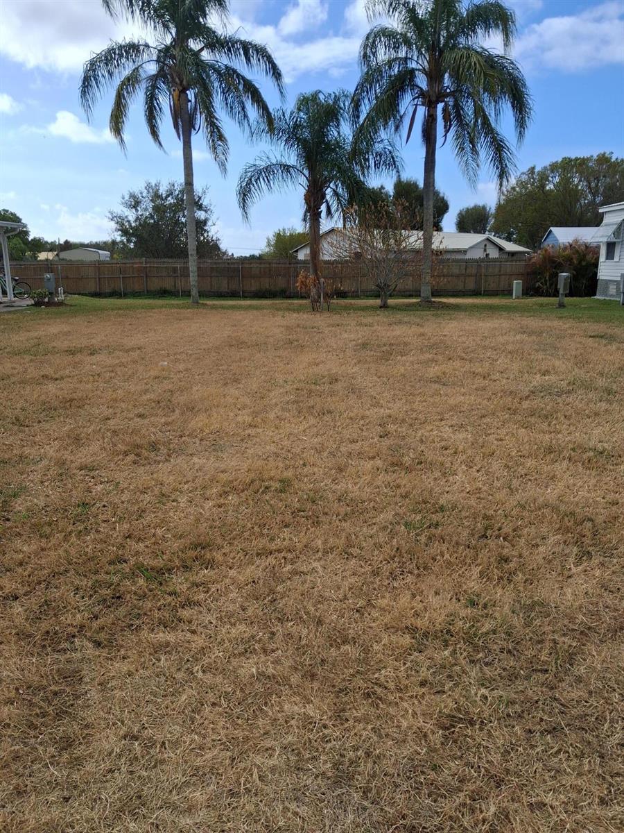 A large, dry, brown grass lawn features three palm trees in front of a wooden fence — 1691 SW 35th Circle, Okeechobee FL 34974, OKEECHOBEE, FL
