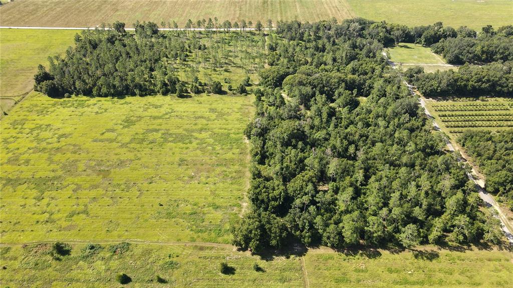 AMBERLEA ROAD, DADE CITY, FL — photo 2 of 8