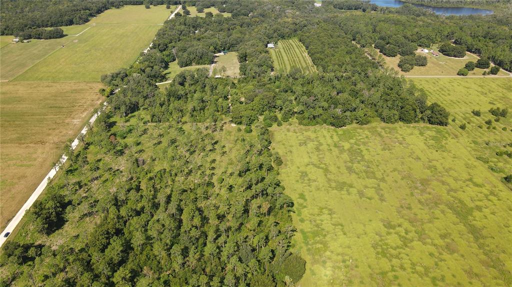 AMBERLEA ROAD, DADE CITY, FL — photo 4 of 8