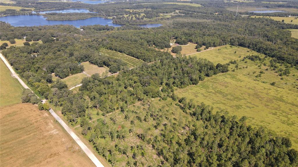 AMBERLEA ROAD, DADE CITY, FL — photo 5 of 8