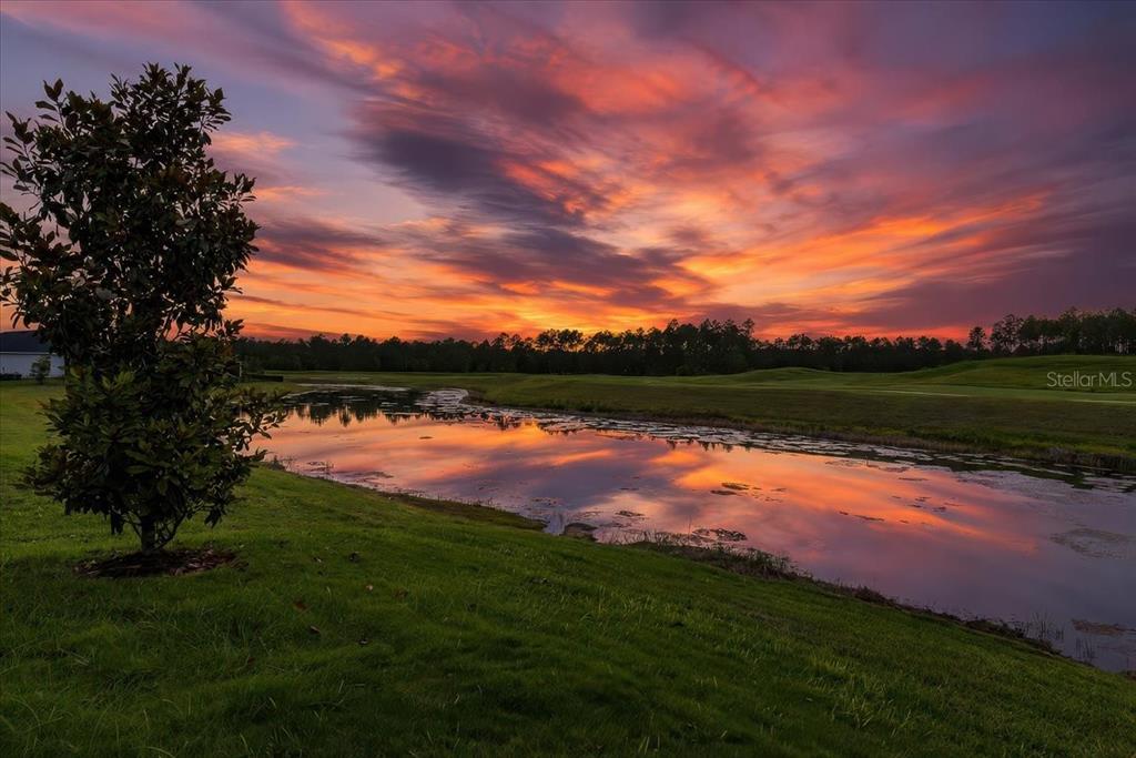 A pond reflects a vibrant sunset over a grassy landscape with a tree in the foreground — 883 STILLWATER BOULEVARD, ST JOHNS, FL