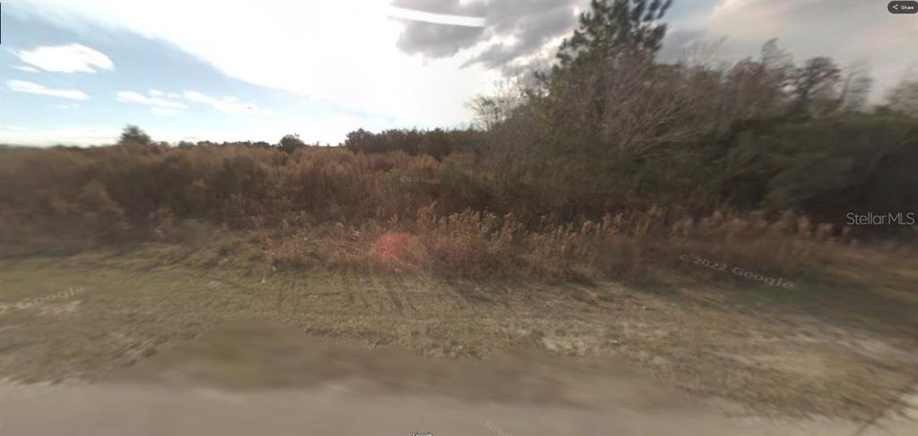 BACKLAND PATH ROAD, POLK CITY, FL — photo 2 of 2