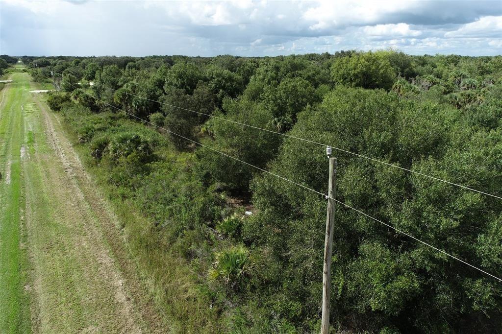A dirt clearing with tire tracks surrounds a small, muddy pond near a wooded area — 19731 NW 266th Street, Okeechobee FL 34972, OKEECHOBEE, FL