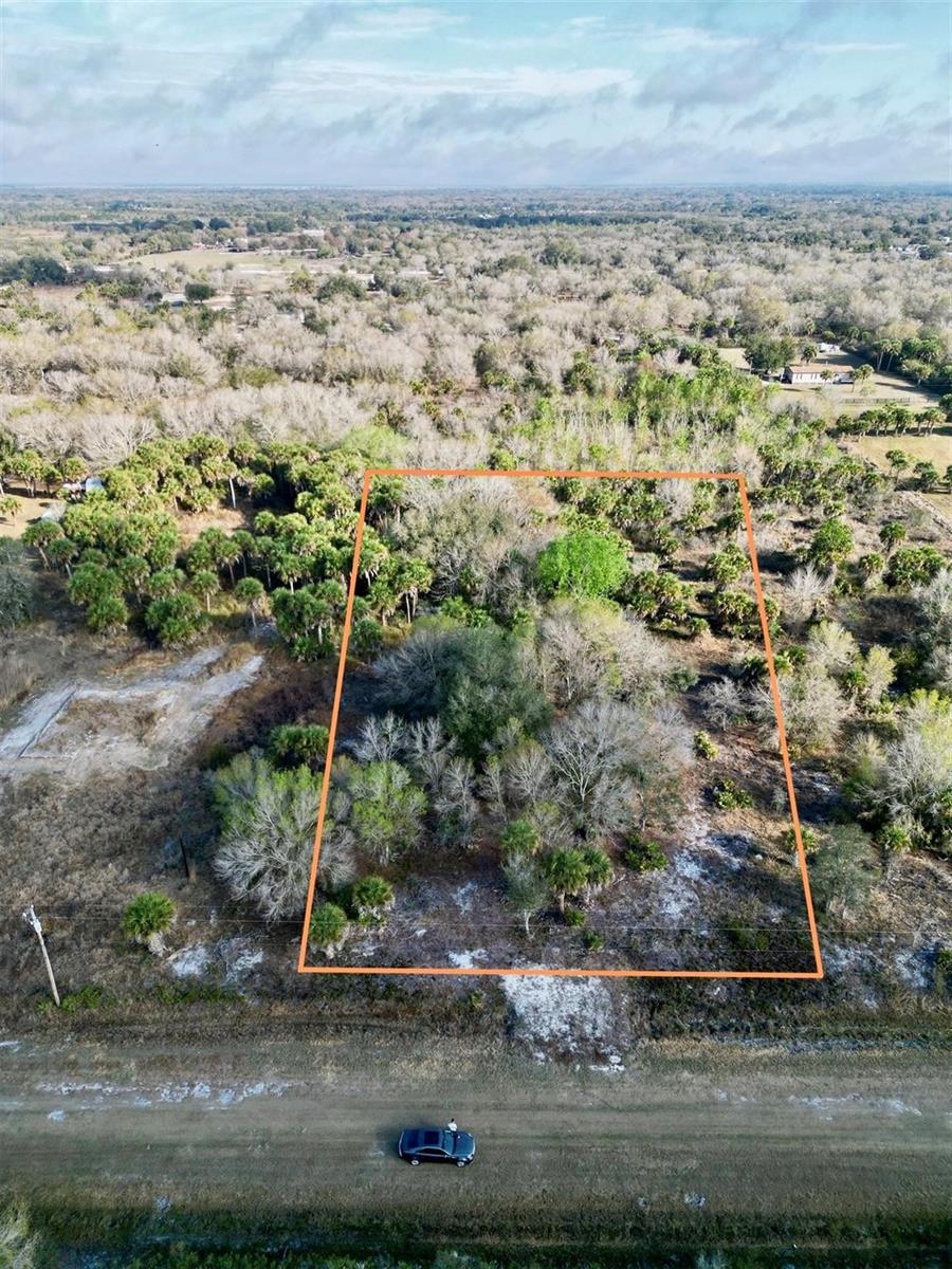 A wooded lot featuring mature trees, palm trees, and a ground layer of dry leaves — 19731 NW 266th Street, Okeechobee FL 34972, OKEECHOBEE, FL