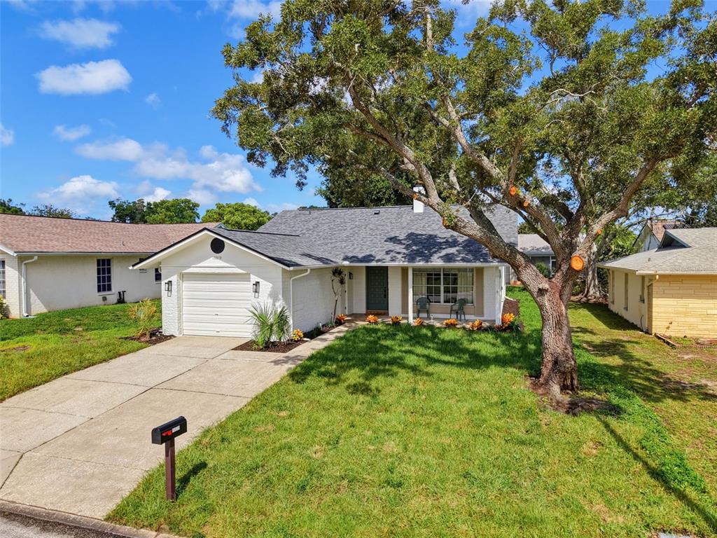 A white single-story house with a gray roof, a driveway, and a large front tree — 10819 LOS SANTOS DR, PORT RICHEY, FL
