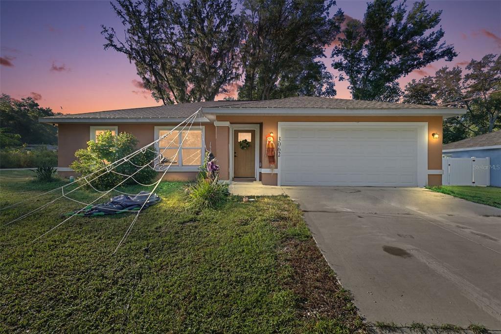 A single-story house with a concrete driveway, a two-car garage, and Halloween yard decorations — 3062 SE 141ST PLACE, SUMMERFIELD, FL