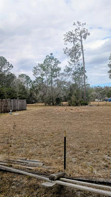 6905 PEARSON LANE, WESLEY CHAPEL, FL — photo 2 of 30