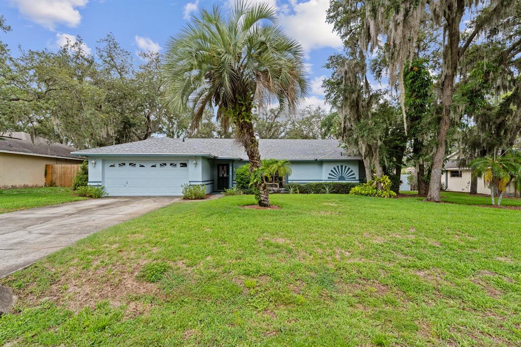 A single-story house with a light blue exterior, a palm tree, and a concrete driveway — 7710 NATURE TRAIL, LAKELAND, FL