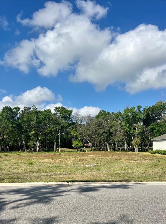 3138 SILVERMINES AVENUE, ORMOND BEACH, FL — photo 5 of 8