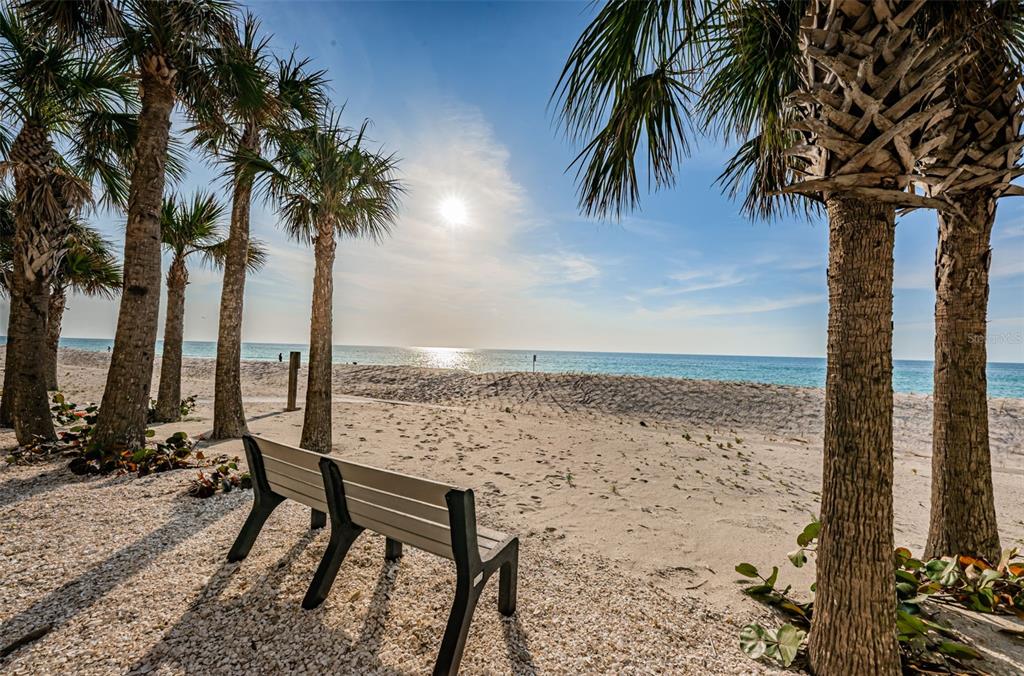 A bench sits on a sandy beach under palm trees overlooking the ocean — 1660 GULF BOULEVARD UNIT 208, CLEARWATER BEACH, FL