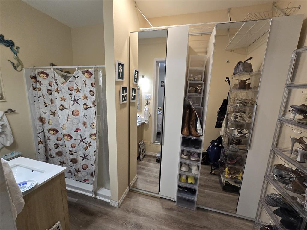 A bathroom features a shower with a seashell curtain, a vanity, and mirrored closet doors — 9320 N ELMER STREET, TAMPA, FL