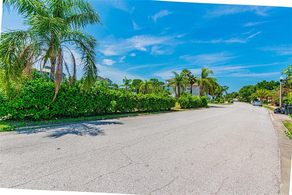 A paved residential street is lined with lush green hedges and tall palm trees — KETCH COURT, TARPON SPRINGS, FL