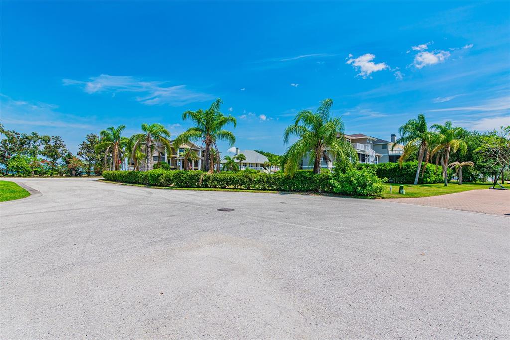 A paved cul-de-sac features palm trees and residential buildings behind a manicured green hedge — KETCH COURT, TARPON SPRINGS, FL
