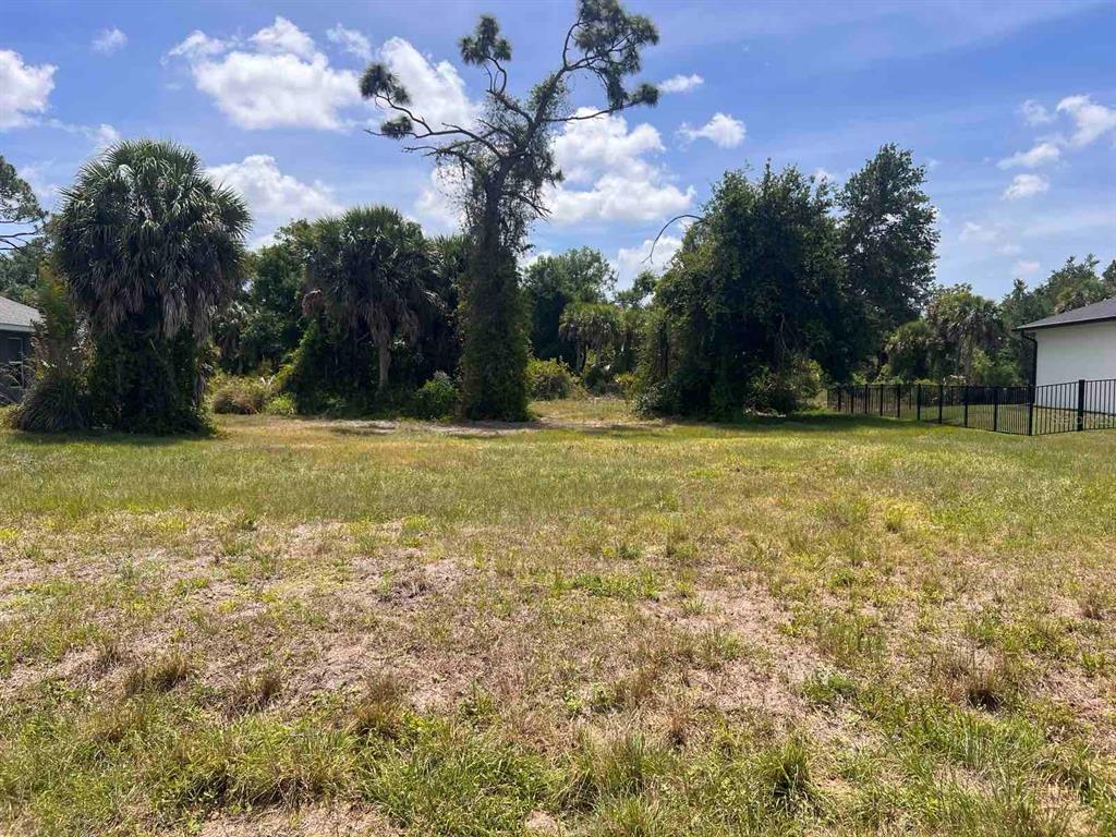 A grassy, undeveloped lot features scattered trees and shrubs under a partly cloudy sky — 163 MARINER LANE, ROTONDA WEST, FL