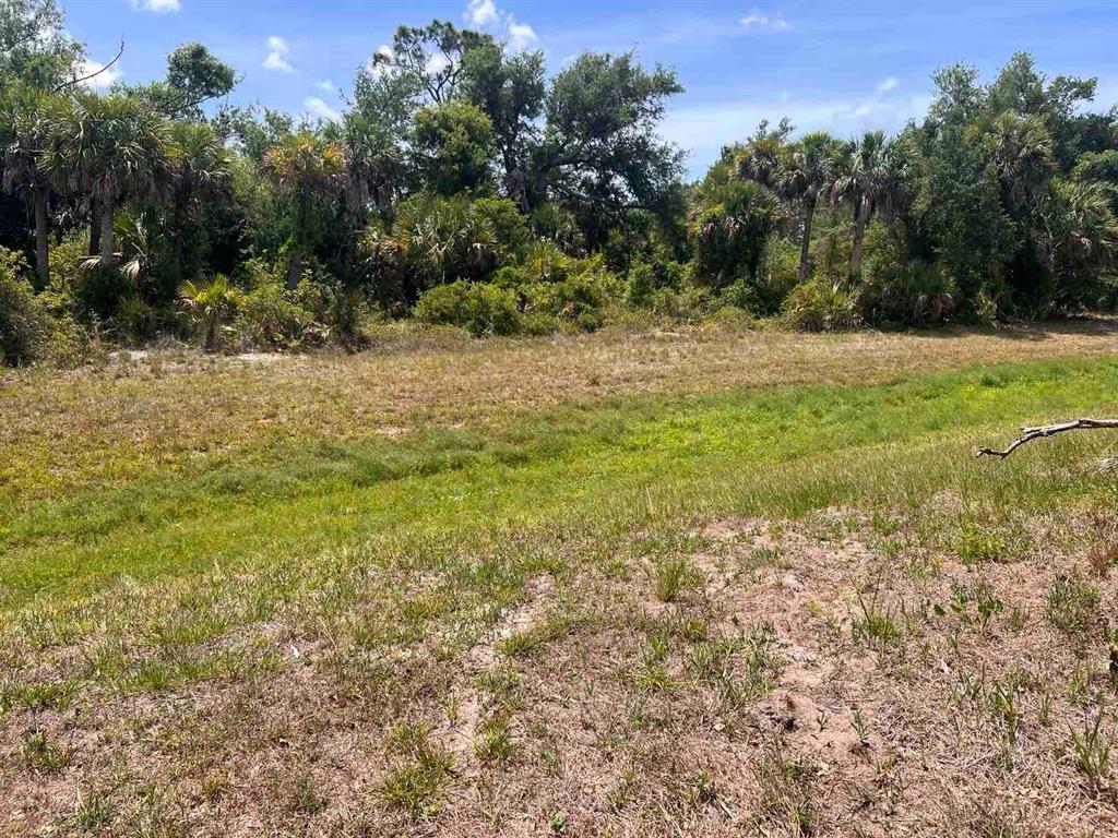 A grassy, undeveloped lot features a dense line of trees and palm trees in back — 163 MARINER LANE, ROTONDA WEST, FL