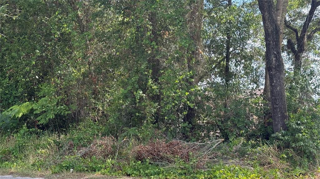 Lot #00 SE 62ND STREET, BELLEVIEW, FL — photo 4 of 6