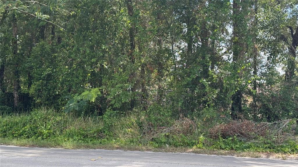 Lot #00 SE 62ND STREET, BELLEVIEW, FL — photo 5 of 6