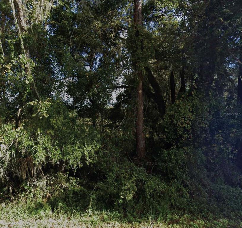 NE 234TH PLACE ROAD