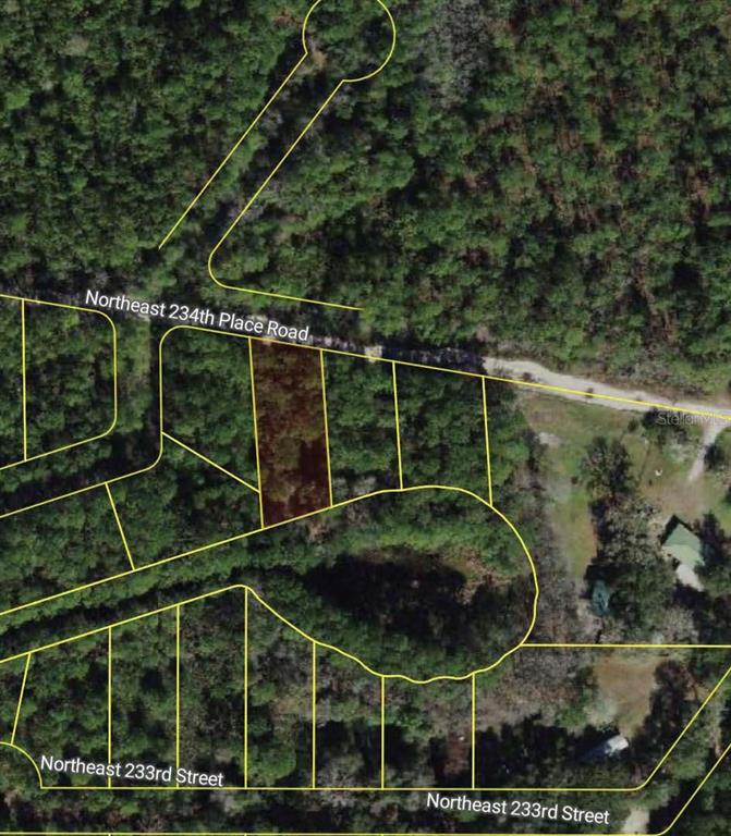 This aerial map shows a wooded residential lot outlined in yellow along a rural road — NE 234TH PLACE ROAD, FORT MC COY, FL