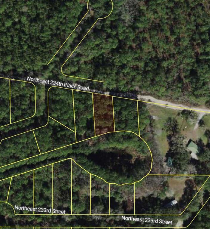 This is a satellite map view showing a rectangular plot of land outlined in yellow — NE 234TH PLACE ROAD, FORT MC COY, FL