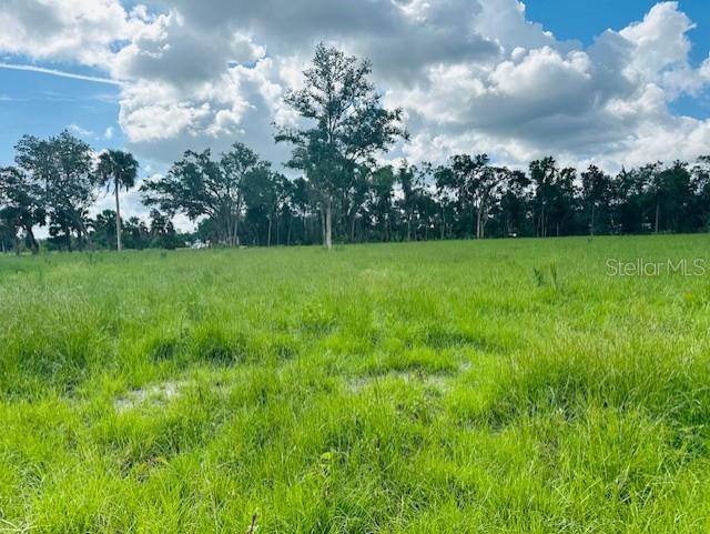 A grassy field stretches toward a line of trees under a cloudy blue sky — 17450 SE HIGHWAY 19, CROSS CITY, FL