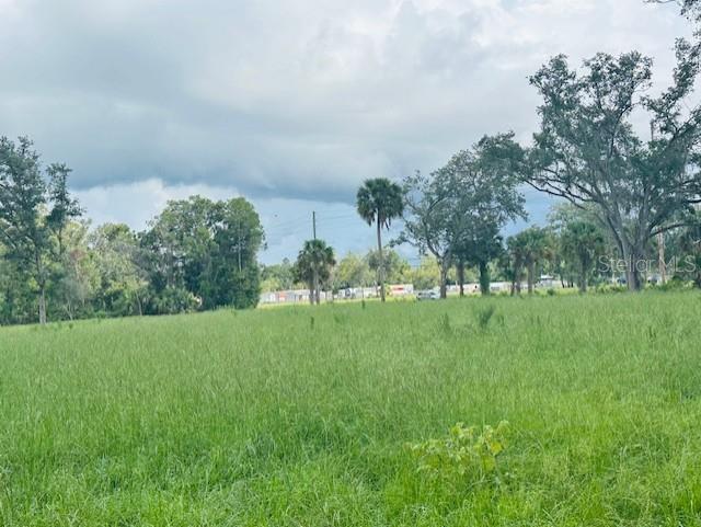 A wide, grassy field is bordered by a line of trees under a cloudy sky — 17450 SE HIGHWAY 19, CROSS CITY, FL