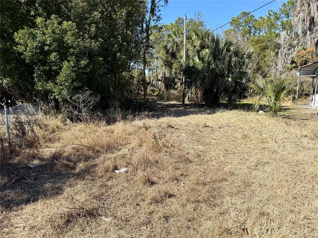 A vacant, grassy lot is surrounded by dense trees and foliage under a clear sky — CHURCH STREET, UMATILLA, FL