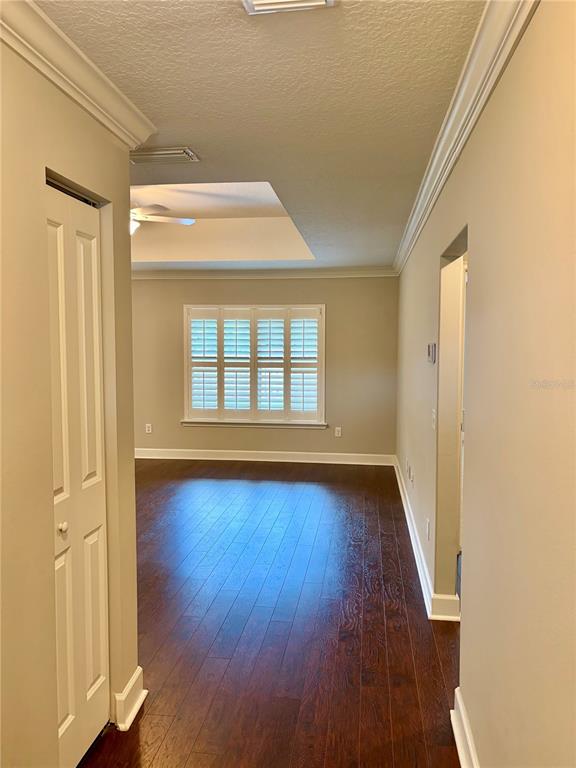 A hallway with dark wood floors leads into a room featuring a tray ceiling — 882 NW 256TH WAY, NEWBERRY, FL