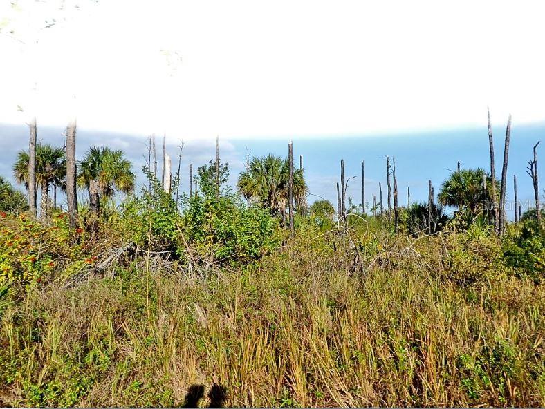 DEVONIA CIRCLE, NORTH PORT, FL — photo 2 of 4