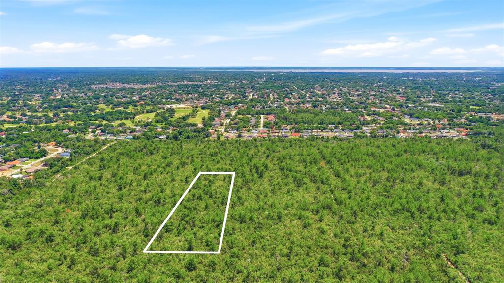 An aerial view shows a rectangular plot of land outlined in white amidst a forested area — AMELIA (PAPER) AVENUE, DELTONA, FL
