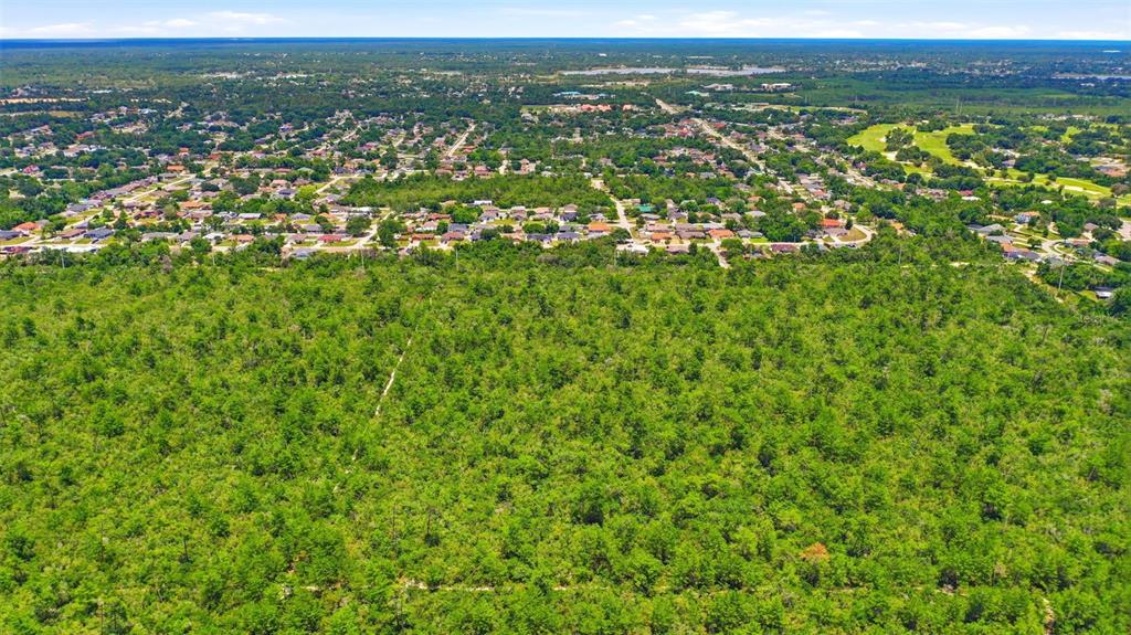 An aerial view shows a rectangular plot of land outlined in white amidst dense forest — AMELIA (PAPER) AVENUE, DELTONA, FL