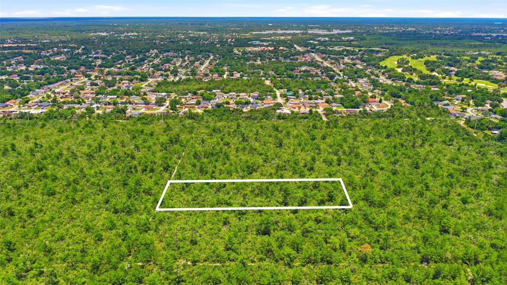 An aerial view shows a large, wooded lot bordering a residential neighborhood and golf course — AMELIA (PAPER) AVENUE, DELTONA, FL