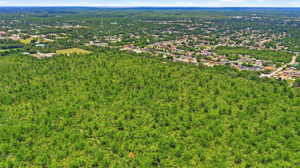An aerial view shows a rectangular plot of land outlined in white amidst dense forest — AMELIA (PAPER) AVENUE, DELTONA, FL