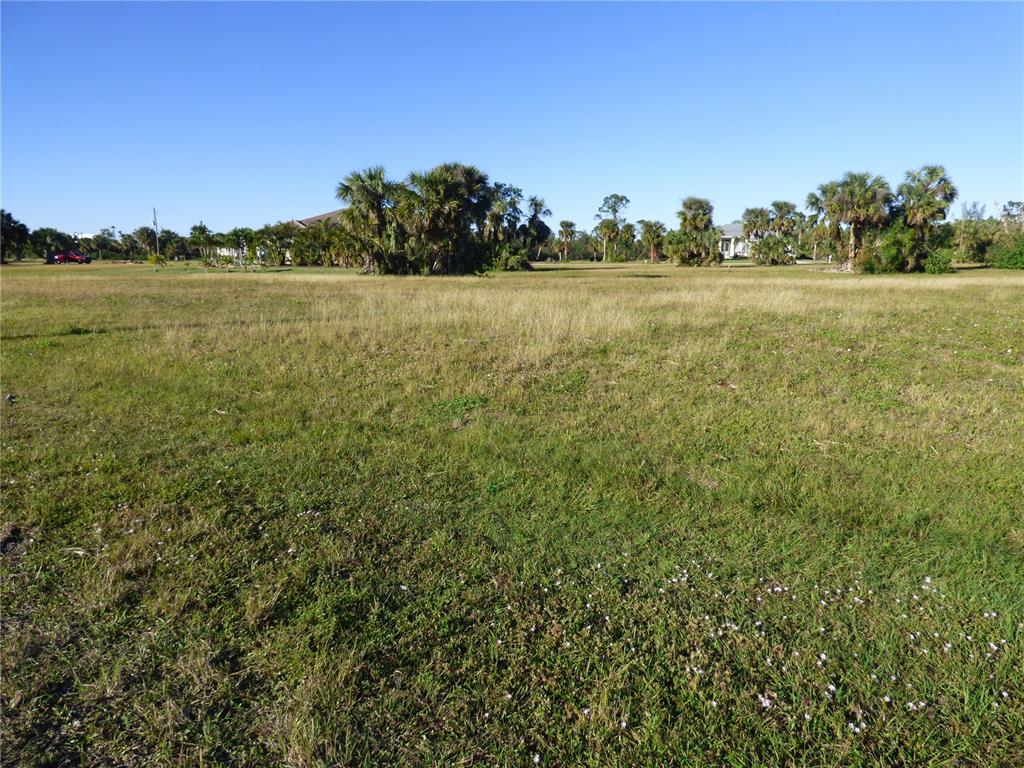 A wide, grassy vacant lot features scattered palm trees under a clear blue sky — 24378 GIJON LANE, PUNTA GORDA, FL