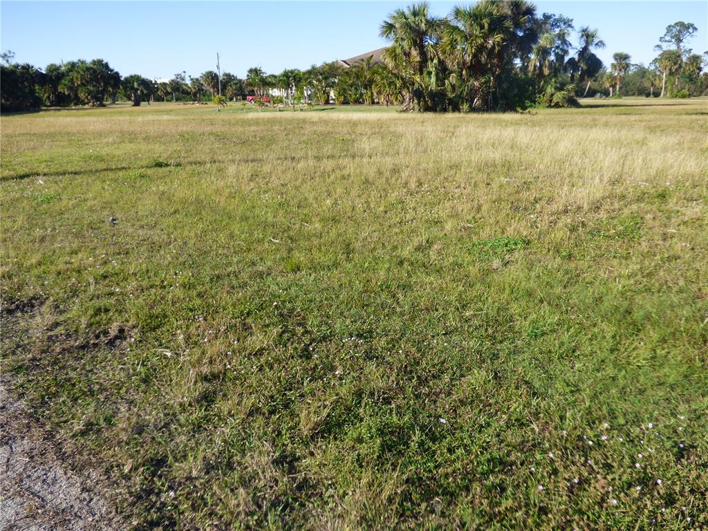 A large, grassy vacant lot features scattered palm trees and distant residential structures — 24378 GIJON LANE, PUNTA GORDA, FL