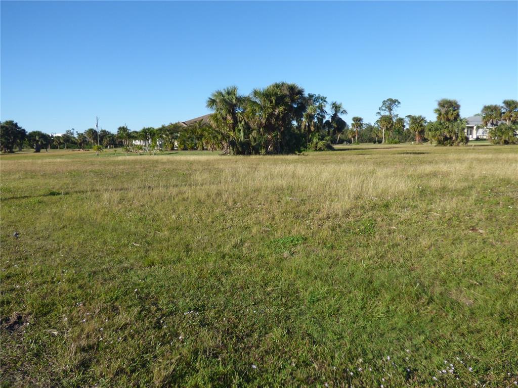 A wide, grassy vacant lot features scattered palm trees under a clear blue sky — 24378 GIJON LANE, PUNTA GORDA, FL