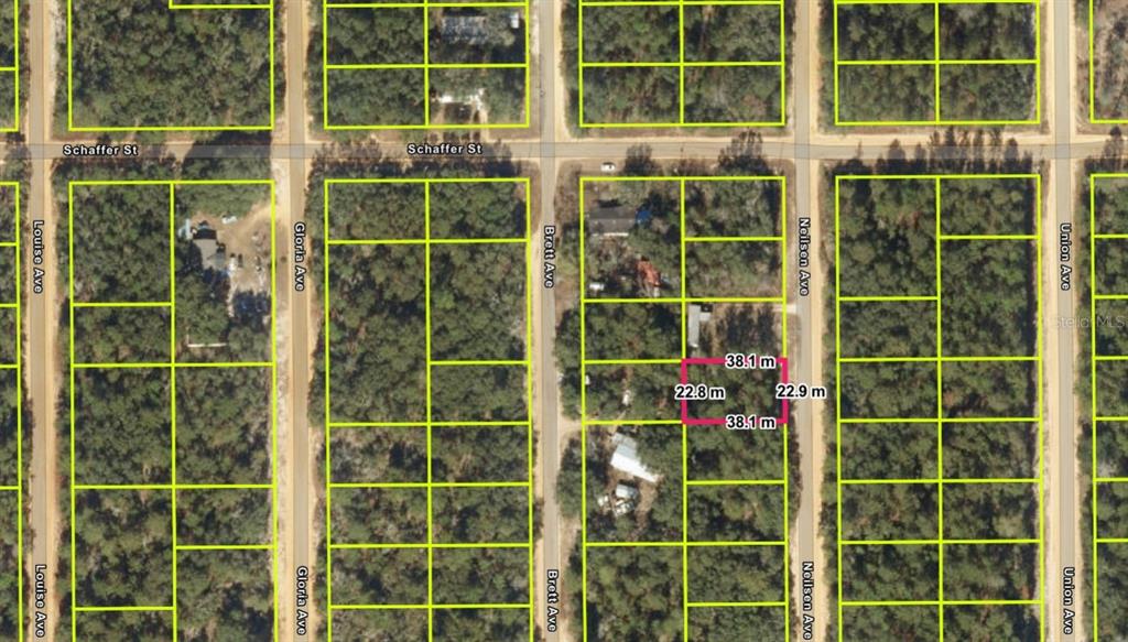 An aerial map shows a rectangular property lot highlighted in pink among surrounding wooded parcels — 299-201 NEILSEN AVE, INTERLACHEN, FL