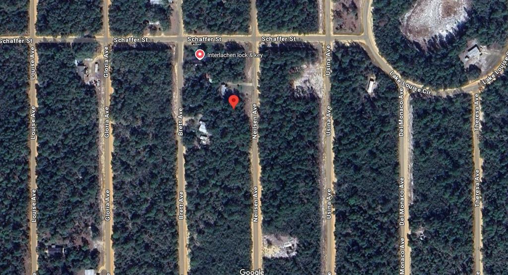 This is an aerial map view showing a wooded residential lot with a red marker — 299-201 NEILSEN AVE, INTERLACHEN, FL