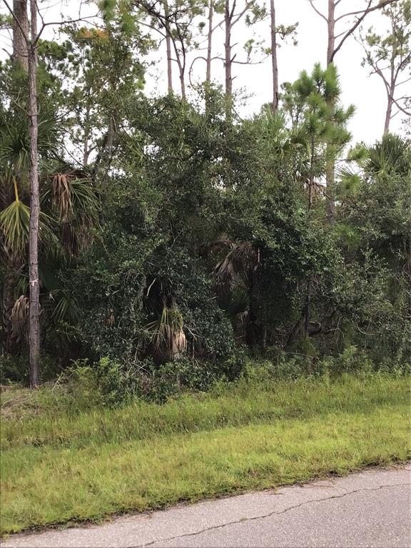 A view of a wooded lot with pine trees and palmettos along a paved road — 14202,m 14210,14218,14226 HYDRANGEA AVENUE, PORT CHARLOTTE, FL