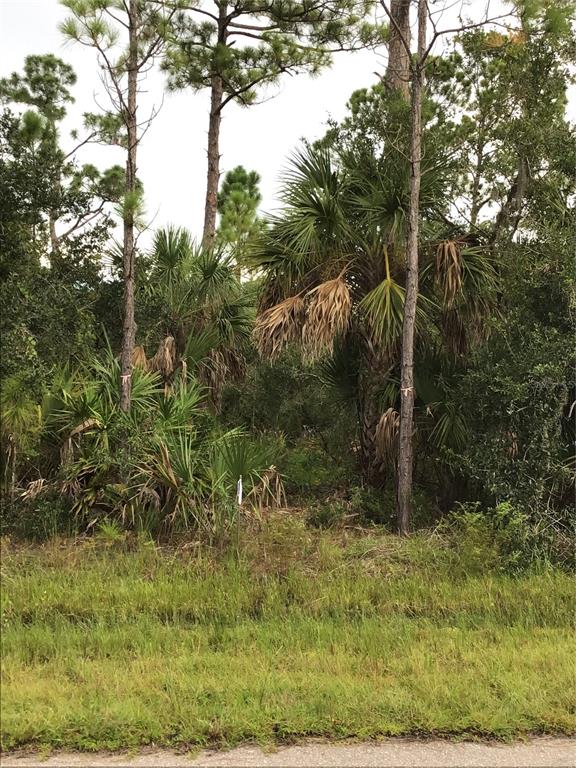 A wooded lot features tall pine trees and palmetto bushes under a cloudy sky — 14202,m 14210,14218,14226 HYDRANGEA AVENUE, PORT CHARLOTTE, FL