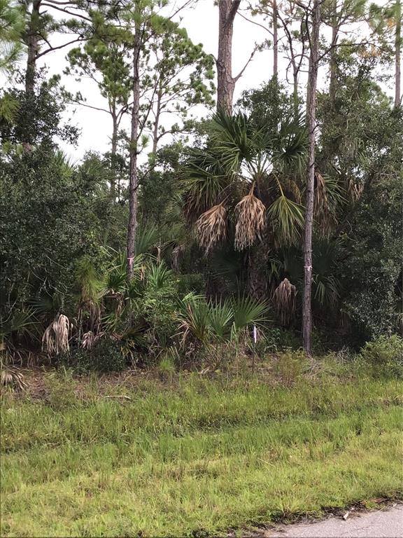 A wooded lot with pine trees, palmettos, and a cabbage palm tree — 14202,m 14210,14218,14226 HYDRANGEA AVENUE, PORT CHARLOTTE, FL