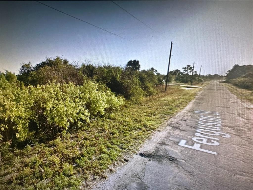 A view of a paved road with overgrown vegetation and utility poles along the side — 165 FERGUSON STREET SW, PALM BAY, FL