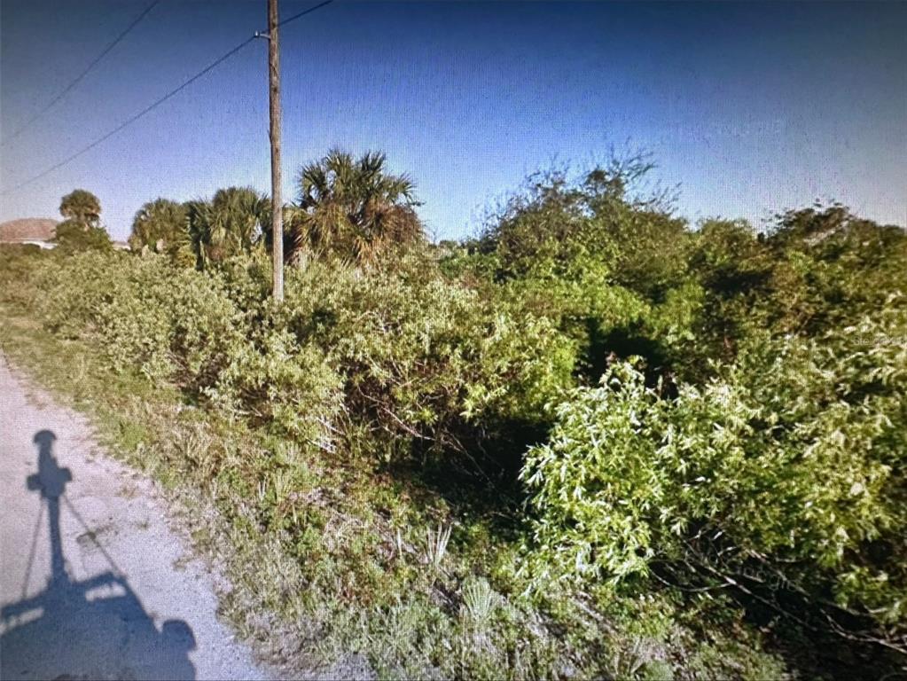 A dirt road runs alongside a dense, overgrown lot with trees and a utility pole — 165 FERGUSON STREET SW, PALM BAY, FL
