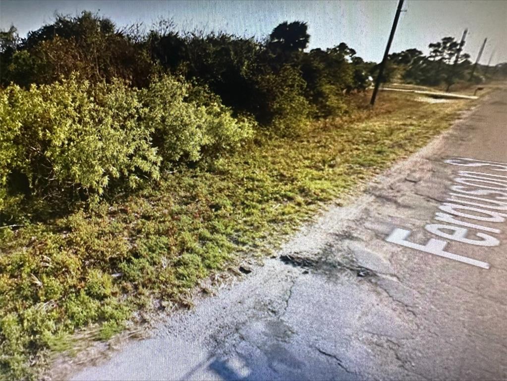 A grassy, overgrown vacant lot sits alongside a cracked asphalt road with painted street markings — 165 FERGUSON STREET SW, PALM BAY, FL