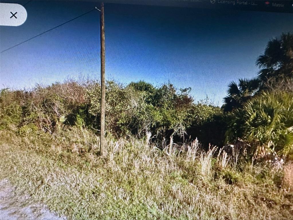 A utility pole stands in front of a dense, overgrown lot with trees and shrubs — 165 FERGUSON STREET SW, PALM BAY, FL